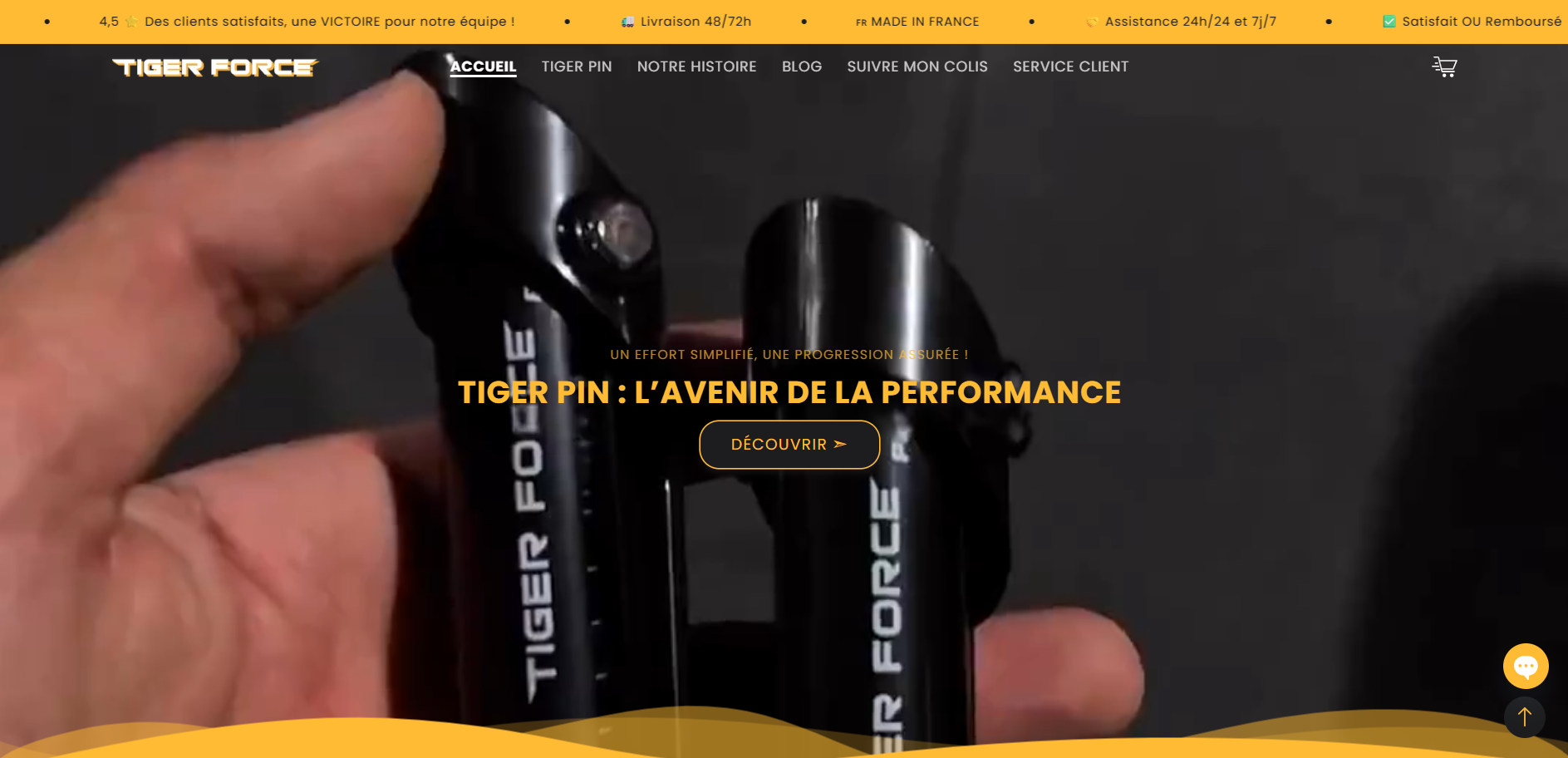 Aperçu du site Tiger Force
